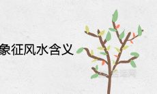 椿的寓意和象征风水含义