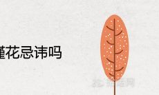 家里种朱槿花忌讳吗 寓意不吉利吗