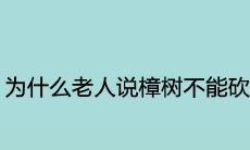为什么老人说樟树不能砍