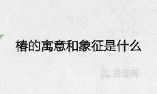 椿的寓意和象征是什么