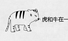 虎和牛在一起对谁不利 婚配穷一辈是真的吗