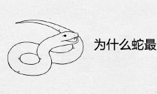 为什么蛇最配的是牛 属蛇命中注定的另一半都有谁