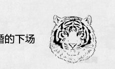 男虎女兔结婚的下场 可以在一起婚配吗