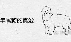 1982年属狗的真爱生肖及出现时间