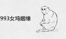 1992男猴1993女鸡姻缘婚姻好吗