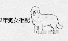82年狗男和82年狗女相配吗 婚姻会破裂吗
