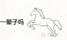 男马女牛能过一辈子吗 适合做夫妻吗