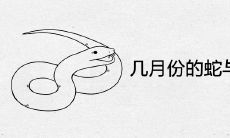 几月份的蛇与猪不相冲 如何化解合适