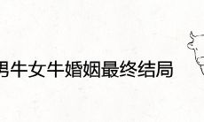 男牛女牛婚姻最终结局 在一起做夫妻合适吗
