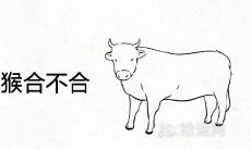 85男牛92女猴合不合 属于上等婚姻吗