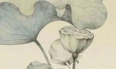 2022年1月21日这天建房动土吉利吗 此日动土日子好吗