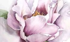 2022年2月2日可以动土吗 老黄历查询