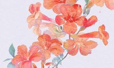 2022年1月28日动土日子好吗 今日日子好不好