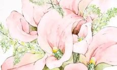 2022年2月5日动土日子好吗 今日日子好不好