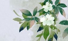 2022年1月24日动土好吗 是黄道吉日吗