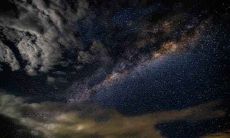 火鸡的性格和命运 火鸡的运势及运程