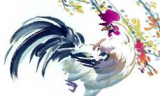 属鸡2020年运势及运程 属鸡人2020全年每月运势