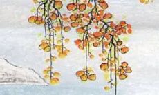 2023年2月3日出行好不好 今日宜忌