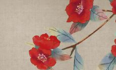 生肖猪每月运势2023年运程 属猪人2023年的大事件