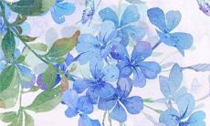 2023年1月29日宜外出游玩吗 出行日子好吗