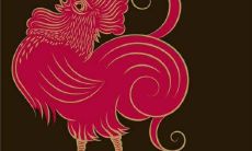 哪些颜色可以给1969年属鸡男带来吉利和好运