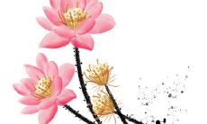 2021年10月29日开张大吉吗 是不是好日子