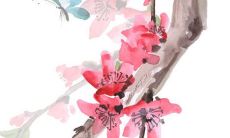 2021年11月3日店铺开张好吗 店铺开张合适吗