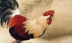 属鸡2021年农历六月感情婚姻运势好吗