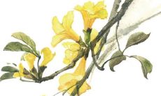 2021年10月21日能开张吗 是不是好日子