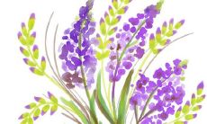 2021年10月23日公司开张好不好 是开张吉日吗