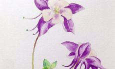 2021年10月24日是开张吉日吗 是黄道吉日吗