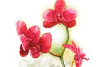 2021年10月25日开张合适吗 是不是好日子