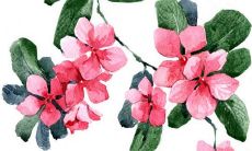 2021年10月26日宜开张开业吗 店铺开张合适吗