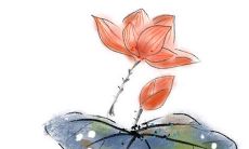 2021年10月30日公司开张好不好 店铺开张合适吗