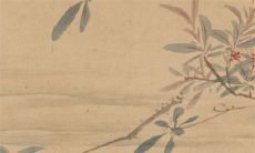 2023年1月5日出生的宝宝是什么命 意志坚定名利双收