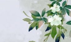 2023年正月初四出生的女孩命运如何 运势稳定命格富贵