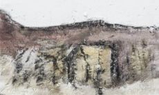 2023兔年正月初五出生的兔宝宝命运 为人机智受人欢迎