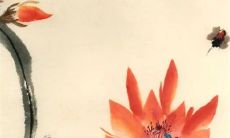 2023年1月3日出生的属兔女孩命运怎么样 富贵显荣胸怀磊落