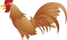 2021年属鸡的人财运好吗 能发财吗