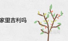 罗汉松放家里吉利吗 风水寓意怎么样