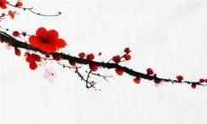 2023兔年1月4日出生的女宝宝命好吗 事业心重易疏忽大意