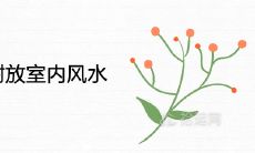 日本吊钟树放室内风水吉利吗