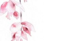 2023年1月5日小寒出生的女孩是什么命 精打细算财源滚滚