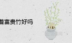 一进门对着富贵竹好吗 会旺宅旺财吗