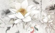 2023兔年1月4日出生的兔宝宝命运 三星高照福禄双全