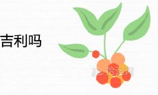 家里种月季花吉利吗 可以旺财又旺宅吗