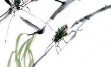 2023年1月4日出生的男孩命好不好 品学兼优事业亨通