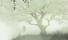 2022年7月29日五行穿衣分享 最佳幸运色查询