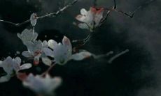 2022年7月14日五行穿衣指南 今日衣服颜色搭配查询