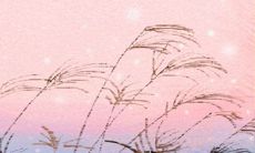 光棍节最不宜做的三件事